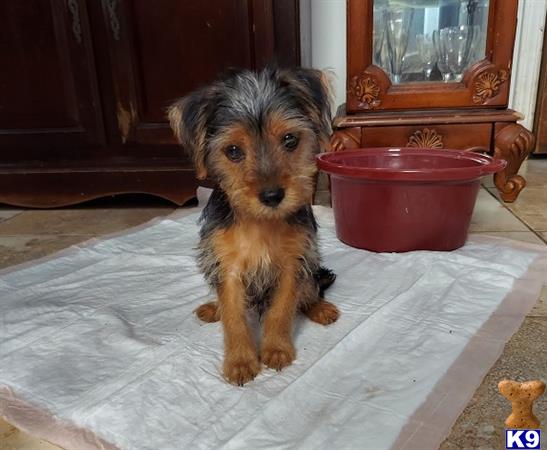 Maria Lou Picture 2